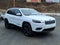 2020 Jeep Cherokee Altitude